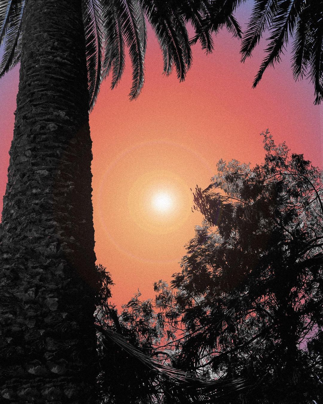 🔴🟠🟡🟢🔵🟣🟤⚫️⚪️